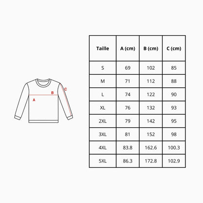 Sweat-shirt Drapeau de la Palestine en broderie-3